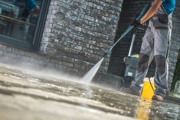 Best Window and Screen Pressure Cleaning in West Pleasant View, CO