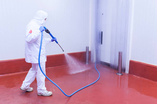 Trusted West Pleasant View, CO Pressure Washing Services Experts